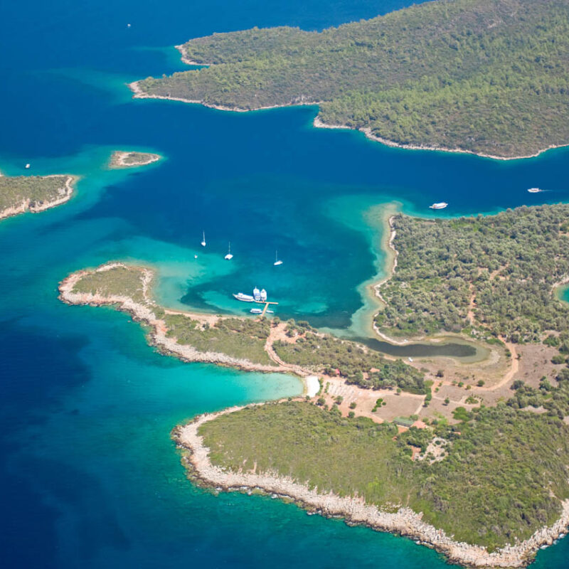 From one bay to 500 kilometres: scaling up marine restoration in Türkiye