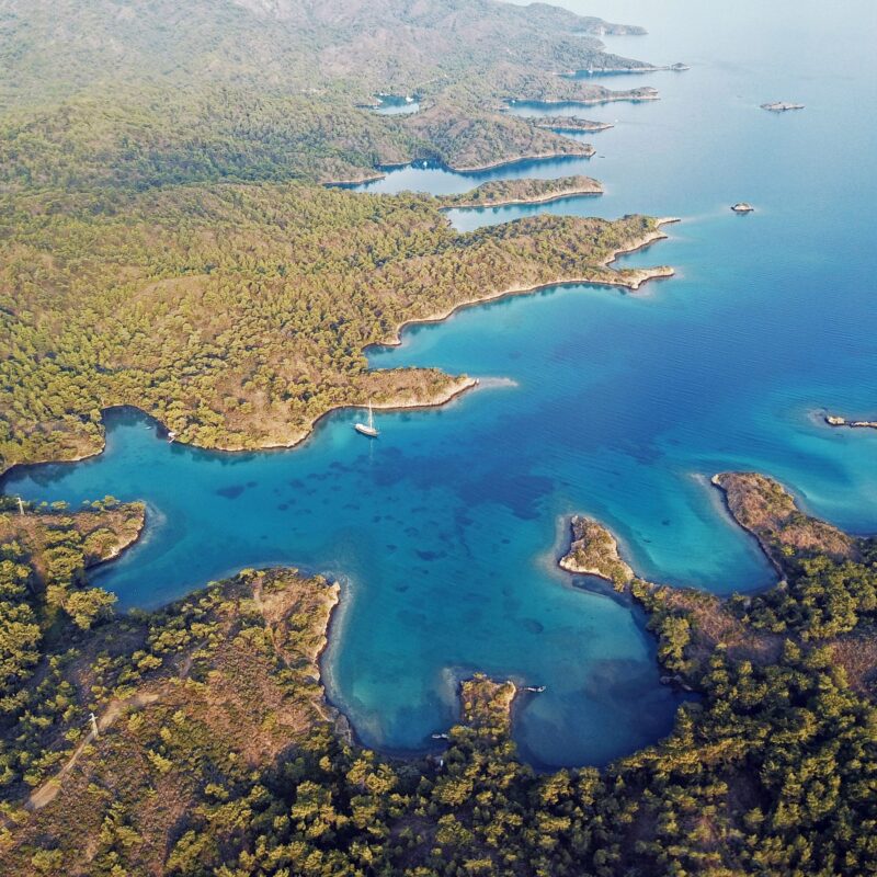 What monitoring reveals about marine recovery in Gökova Bay