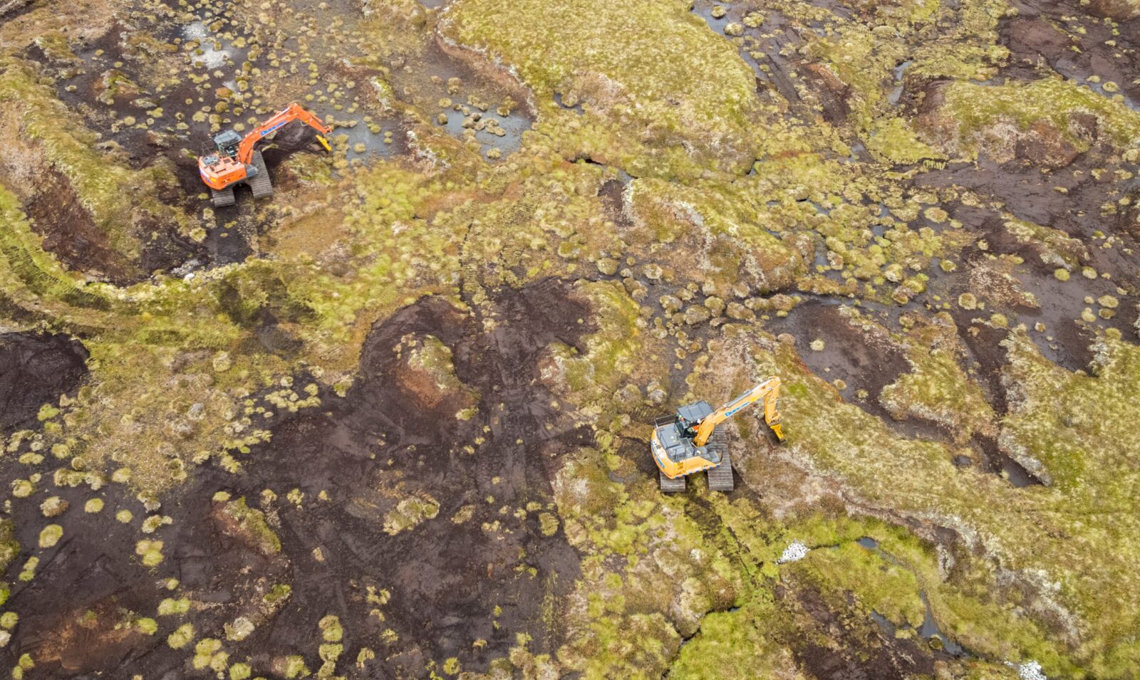Climate Change Showcase: Restoring peat bogs in the Cairngorms